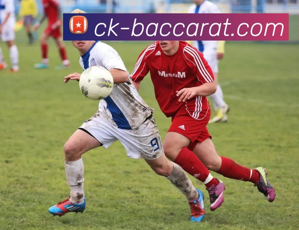 百家乐官网APP 体育赛事宣传图